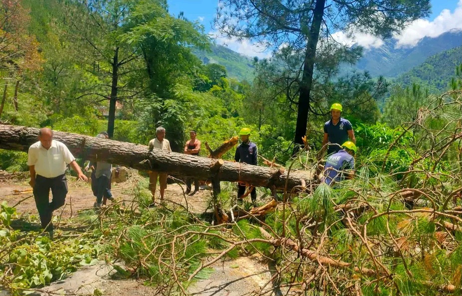 चमोली में अतिवृष्टि से मार्ग अवरुद्ध, फायर सर्विस कर रही मदद।
