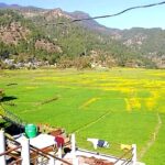 चमोली जिले में मेडिकल कॉलेज के लिए सबसे खास जगह हो सकती यहां।
