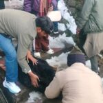 बर्फ में फिसली बेजुबान ज़िंदगी, ज्योतिर्मठ पुलिस बनी संजीवनी 