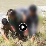 चमोली पुलिस की सतर्कता और त्वरित कार्रवाई से बची एक ज़िंदगी — नदी में कूदने जा रही महिला को समय रहते बचाया