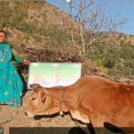 दूध बेचकर हर माह ₹12 हजार तक कमा रहीं लक्ष्मी देवी।
